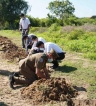 HIP supplies electric fence to protect  agriculture in Hambantota