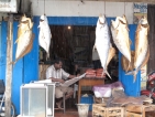Hooked on Jaffna