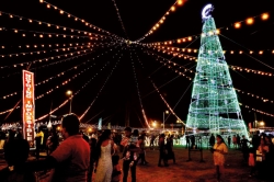 From Aragalaya to Christmas festivities