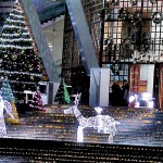 5-9Y1A5619-Nelum-Pokuna