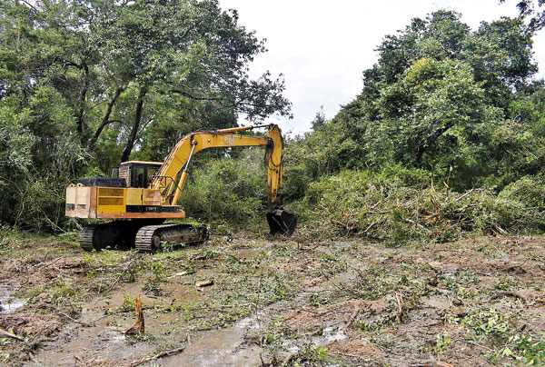 Axe on Welikanda forests: Destruction or development?