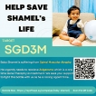 Baby Shamel requires help
