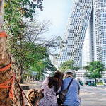 Gangaramaya Rest spot: A tourist couple sit by the pavement.  Pix by Akila Jayawardana