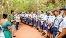 Guiding lights: Scouts take part in environmental project