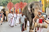 Gangaramaya Maha Perahera today and tomorrow