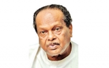 Still seeking  ‘parity of status’ for the Tamils