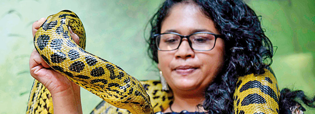 Dehiwala zoo opens up to animal lovers for Valentine’s