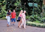 Botanical garden draws visitors