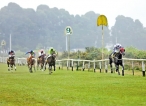 RTC VisitSriLanka Horseracing third race today in Nuwara Eliya