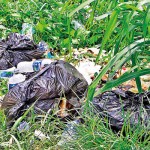 Dumped garbage and empty plastic bottles: Residents and nature enthusiasts are concerned that the natural beauty of Thalawathugoda wetlands and surrounding area will be spoiled causing irreparable damage to flora and fauna. Pix by Indika Handuwala