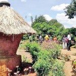 The Agri tourism village in Sigiriya