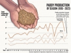 Fertiliser glitches persist, while food security improves and production recovers