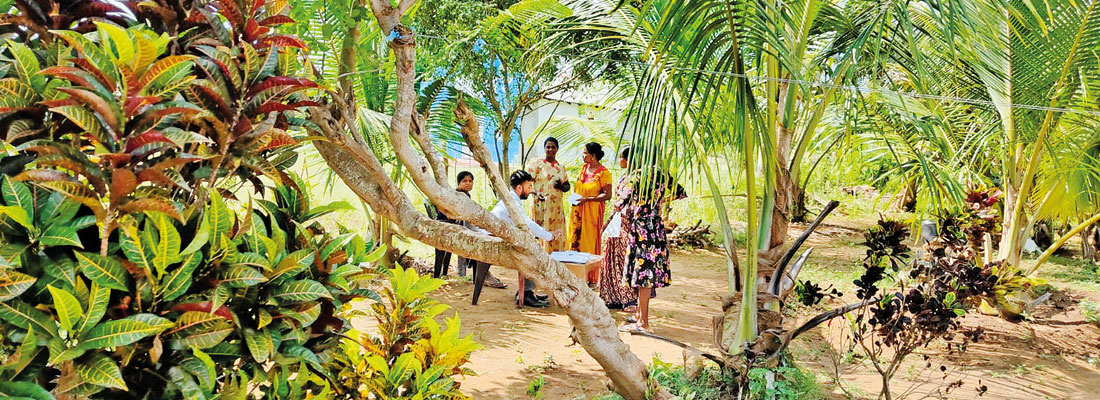 Micro-finance borrowers in Vavuniya struggle to survive