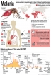 Keep the menace of malaria at bay in SL