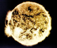 9Y1A5765