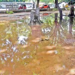A ground near Maligawatta Police Station with a rainwater pond