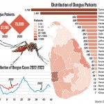 DengueGraphic