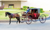 In a horse carriage made for two