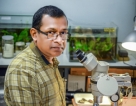 Well known wildlife researcher to deliver lecture on ‘The Future of Nature in Sri Lanka’