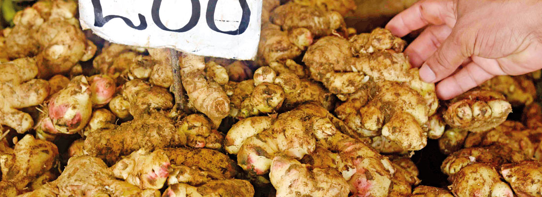 Farmers’ lack of know-how and off season for ginger send prices soaring