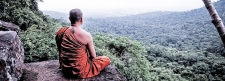 Vipassana meditation and neuroscience
