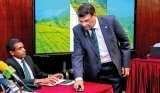 Hayleys Plantations spearheads first Global Plantation Summit for plantation industry