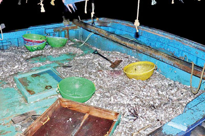 Northern fisherfolk continue to suffer from Indian poaching