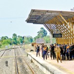 Awaiting the train at Elephant Pass station