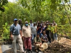 New life for Kanneliya’s   degraded rainforest