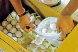 Safety fears about Indian eggs eased; Sathosa assures more supplies
