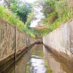 The Tabbowa Tank: Although renovated in 2012 at a cost of Rs. 199 million, large volumes of water is wasted due to a defective sluice gate
