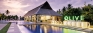 August vacation ‘culinary destination’ at Sheraton Kosgoda Turtle Beach