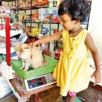 Bulathkohupitiya: Fat cat: A child weighs her pet cat in a shop Pic by Ravindra Welagedara