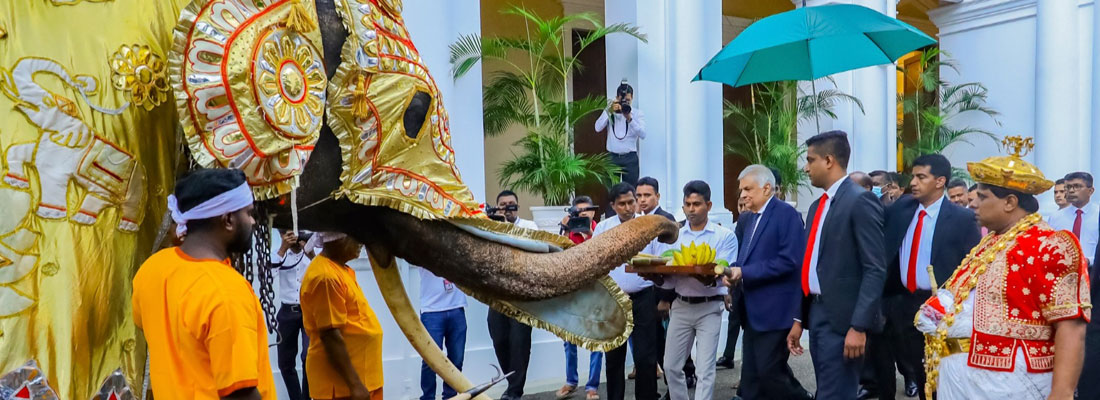 After the perahera: Ritual of meeting head of state takes place
