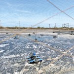 Inside the farm: Post-harvest work of shrimp farming underway