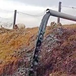 Video grab by fishermen: Black effluent being pumped out from the farm