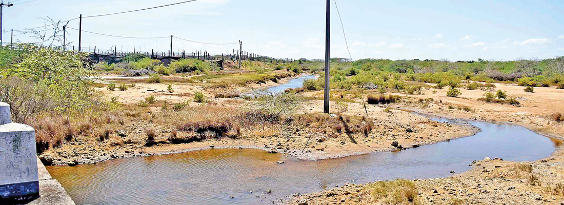 Shrimp farm wastewater breaches environmental laws