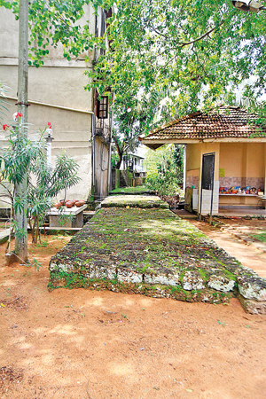 MG-5063---Section-of-Rampart-preserved-within-Perakumba-Pirivena_P12