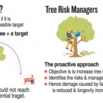 TreeCutting