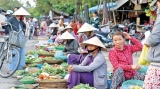 Vietnam surpasses Sri Lanka