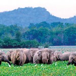 Lahugala National Park