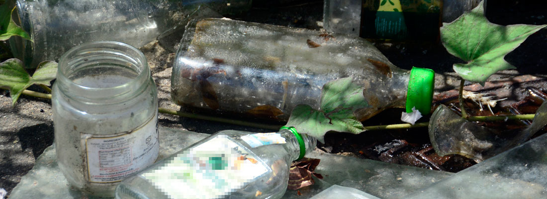 Dengue Control Unit stresses importance of public cooperation as dengue cases soar
