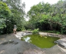 Sri Lanka’s own secret gardens: National Trust lecture by Dr. Shanti Jayewardene