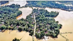 Incessant rains, floods: Pic for Dubai climate summit