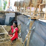 Christmas spirit: Clergy and laity alike prepare for the many trappings of Christmas. (Pix by M A Pushpa Kumara)