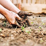 Digging-into-Gardening_P2