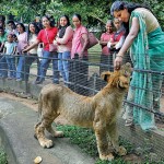Simba with his favourite person Pix by M A Pushpa Kumara