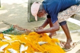 Bad weather further burdens fishermen who return with almost empty nets