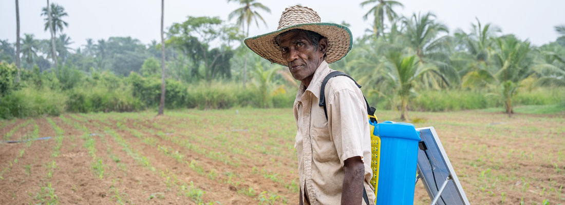 After COP28: What’s next for Sri Lanka?