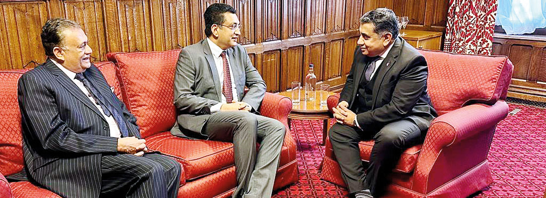 Foreign Minister Sabry meets Lord Tariq